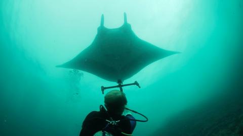 Discover Scuba Diving — First Step